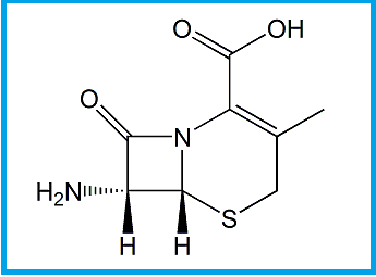 CEFADROXIL EP IMPURITY B 